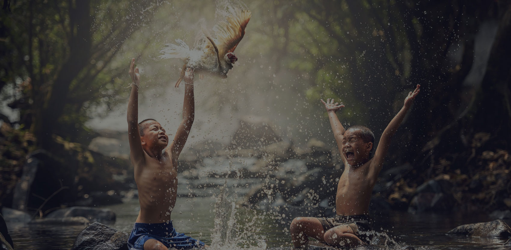 Two boys playing in a river with a chicken, splashing water around them.