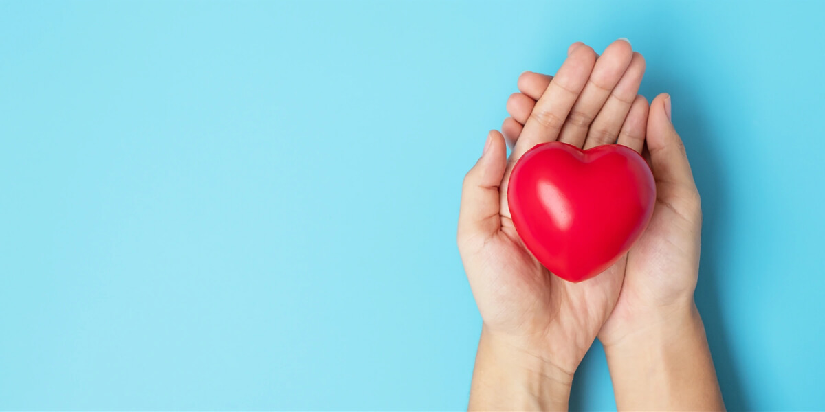 Hands cupping a red heart; fundraising concept.